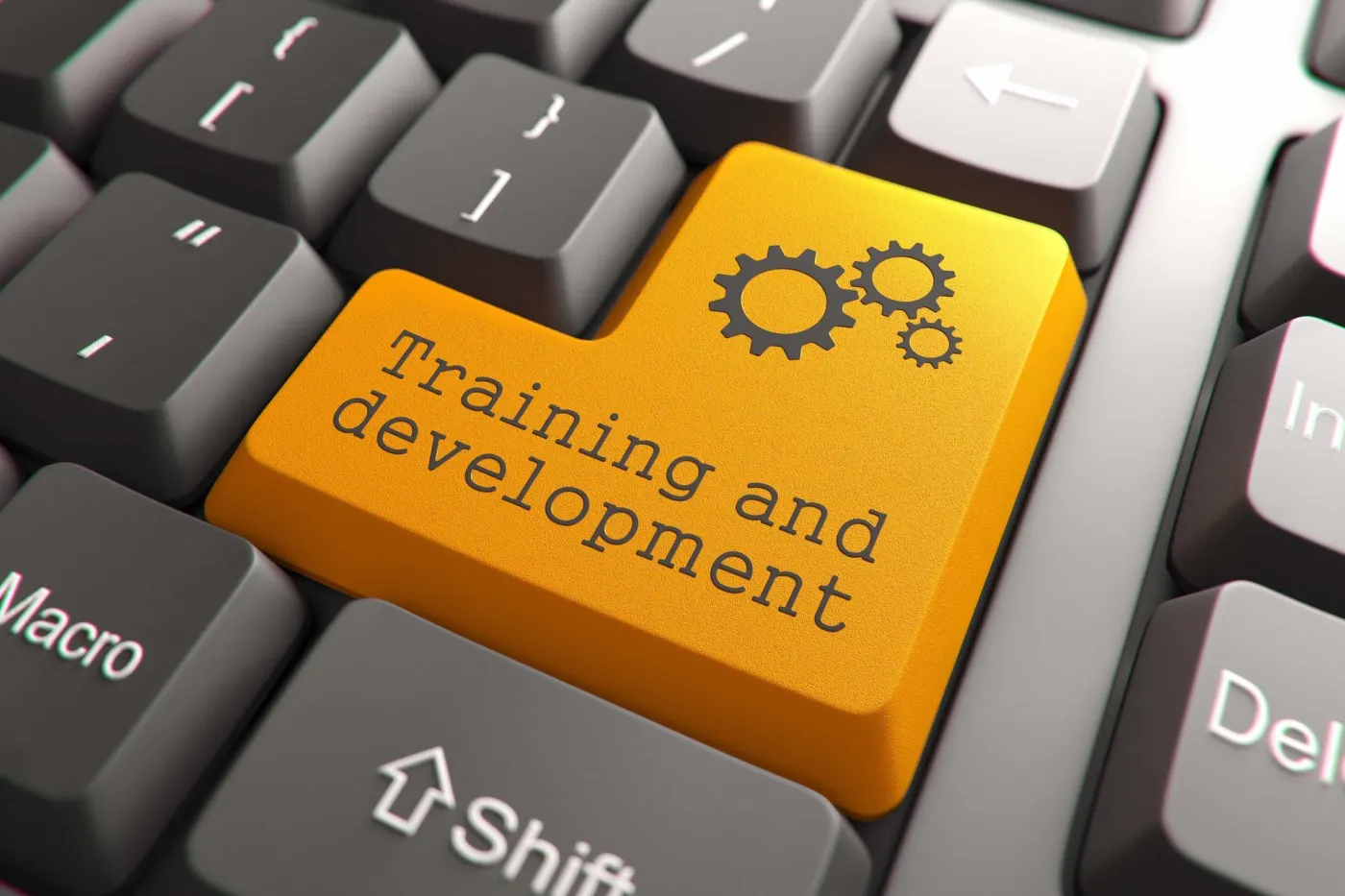 Top 6 Tips To Effectively Analyze Your Company's Online Training Needs - eLearning Industry