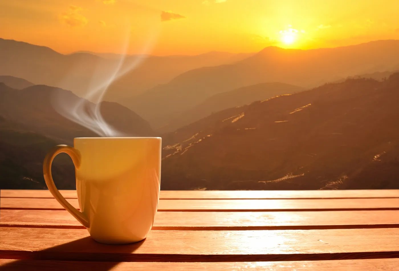 In praise of the morning newsletter - Poynter